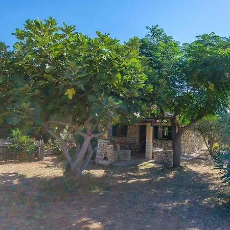 בית נופש House Tomislav