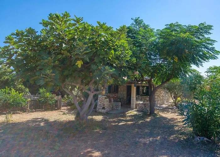 Дом отдыха House Tomislav