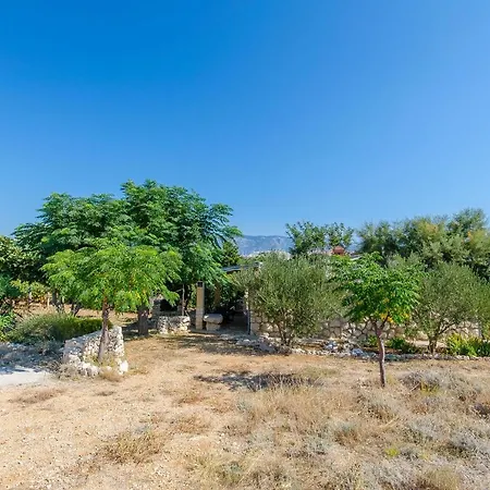 House Tomislav Dom wakacyjny Kolan